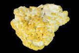 Yellow Orpiment - Crven Dol Mine, Macedonia #153332-1